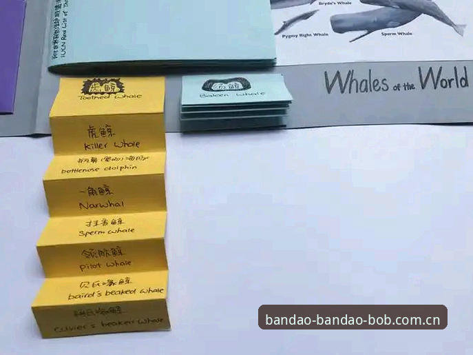 揭秘BODOG赛事数据哪个好？新手必看的深度评估与实战指南