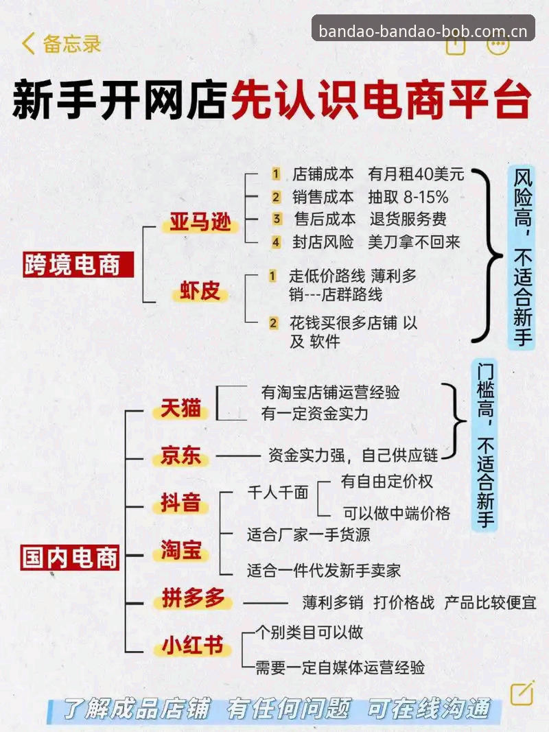 BODOG中国首页与独立平台对比：新手该选哪个入口全面解析