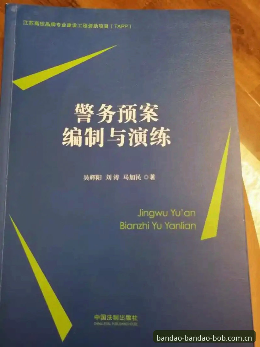 借赛事看安保实战：英国警员缩减背后的数据与预案